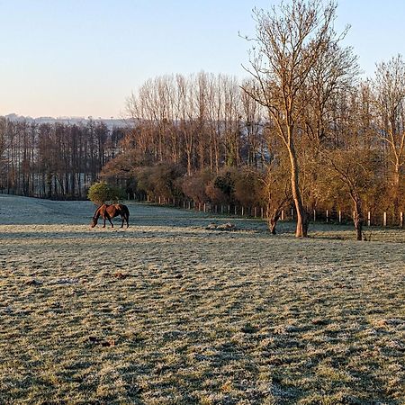 Le Haras D Havetot Anctoville Exterior foto