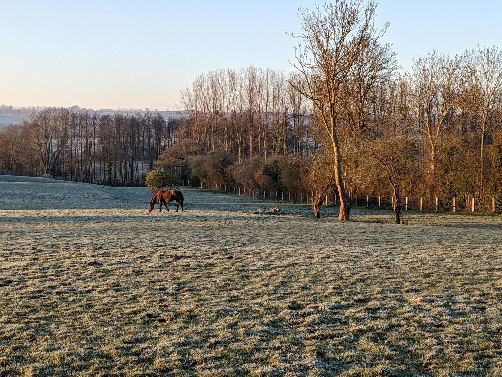 Le Haras D Havetot Anctoville Exterior foto